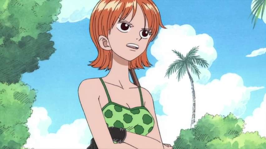 Everyone`s Gathered! Usopp Speaks the Truth About Nami!