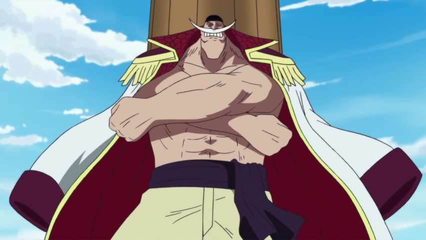 The Beginning of the War! Ace and Whitebeard's Past!