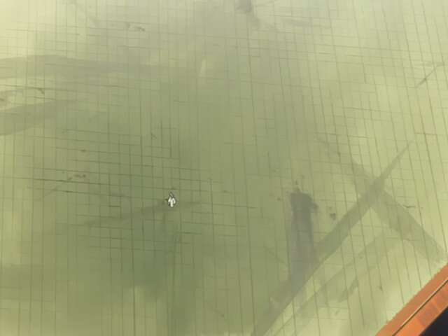 Mayuri's Bankai!! Sawatari: Clash of the Demon