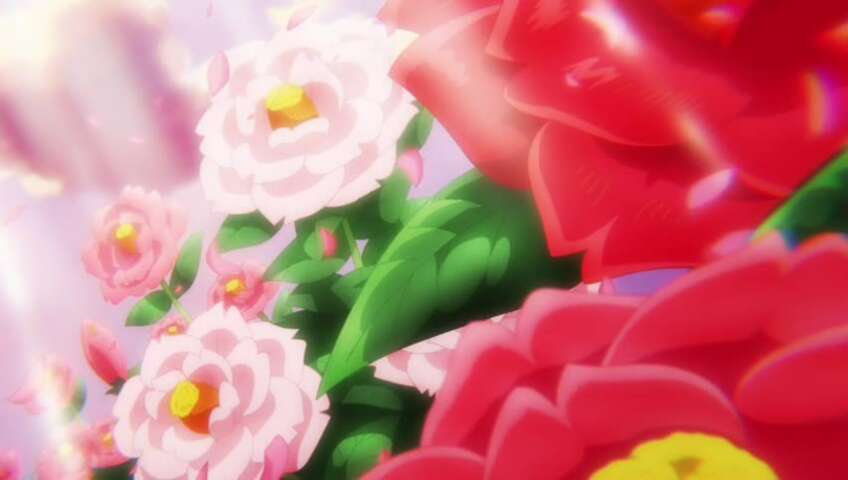 The Supernovas Strike Back! The Mission to Tear Apart the Emperors!