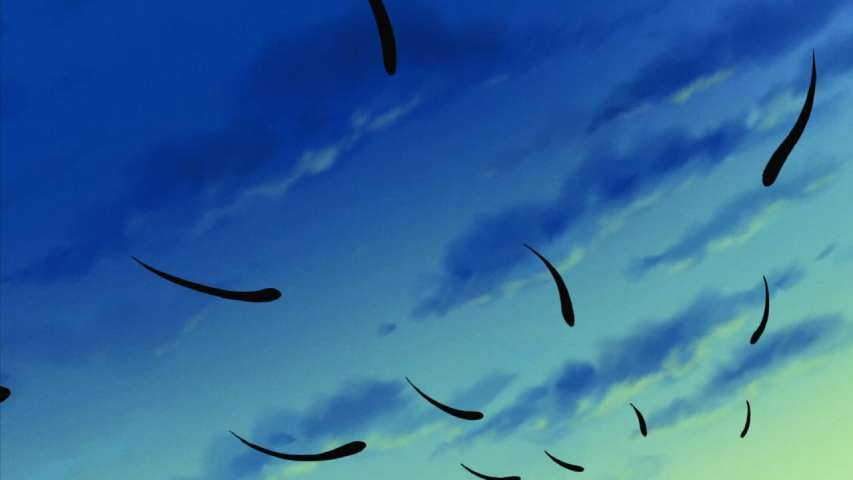 Not Out of Danger Yet! Orders to Annihilate the Straw Hat Crew