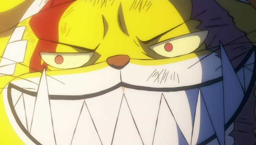 The Curtain Falls! The Winner, Straw Hat Luffy!