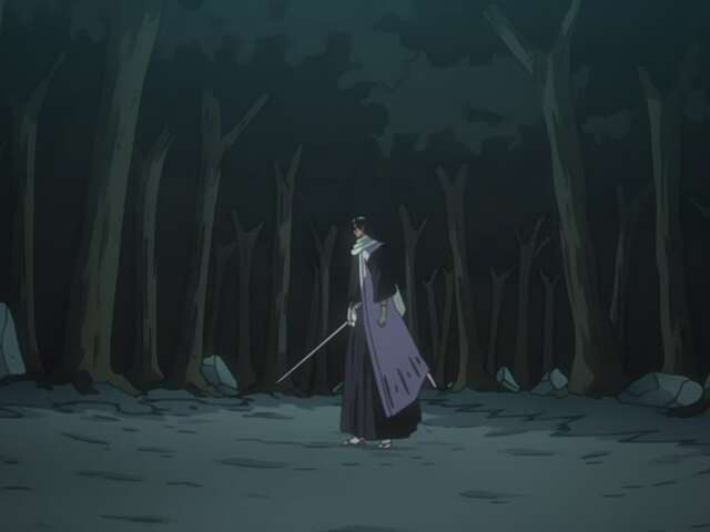 Byakuya Takes the Field! Dance of the Wind-Splitting Cherry Blossoms