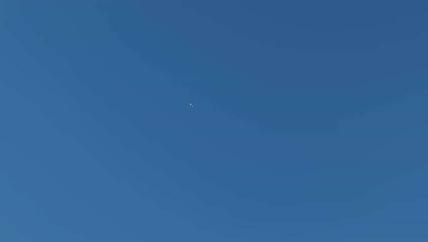 The Mystery Deepens! Egghead Labophase