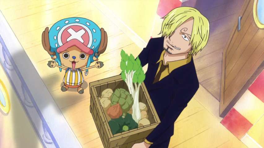 Fujitora Takes Action! The Complete Siege of the Straw Hats!