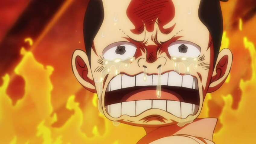 I Trust Momo - Luffy`s Final Powerful Technique!