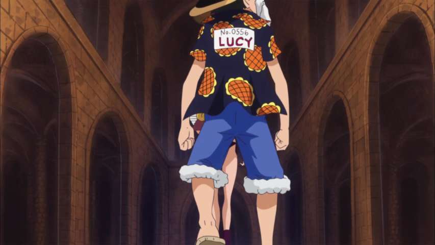 A Formidable, Unknown Warrior! Here Comes Lucy!