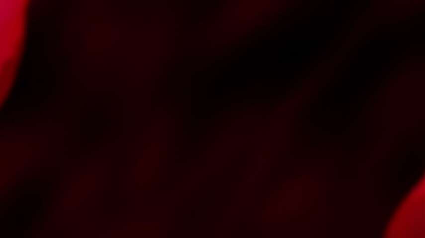 Break the Mirror's Boundary! Ichigo's Captivity