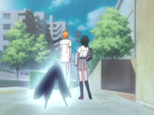 Memories of an Eternally Living Clan