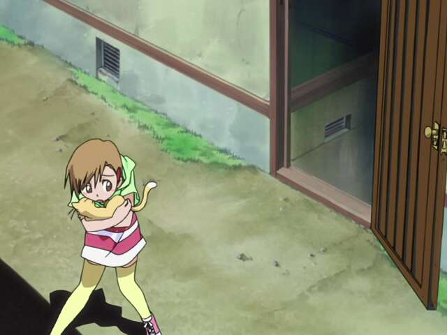 Miracle! The Mysterious New Hero