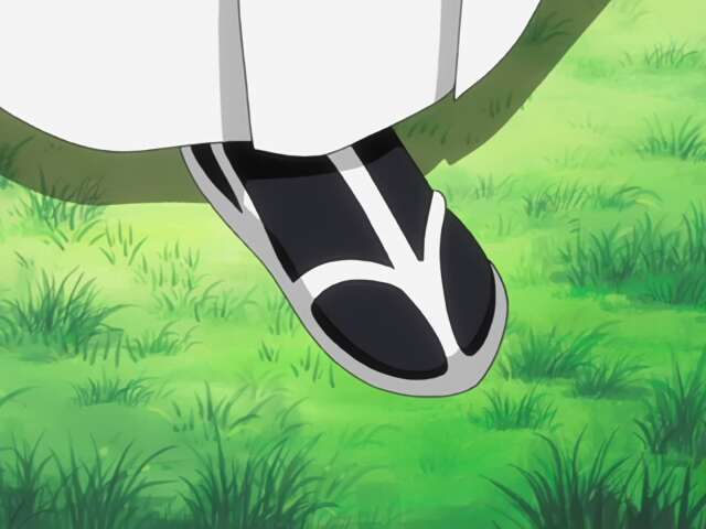 Reunion, Ichigo and Rukia and Soul Reapers