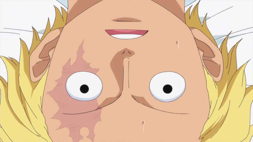 The Brothers' Bond! The Untold Story Behind Luffy and Sabo's Reunion!