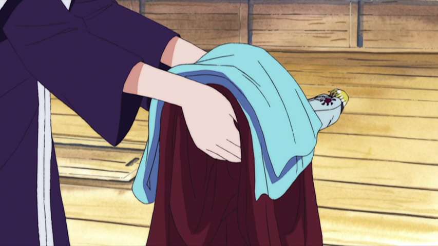 Erumalu, the City of Green and the Kung Fu Dugongs!