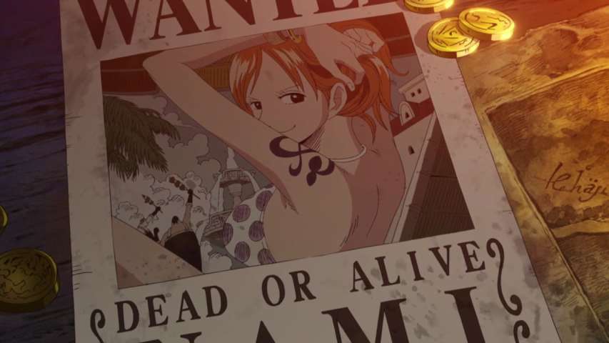 Luffy and Ace! The Story of How the Brothers Met!