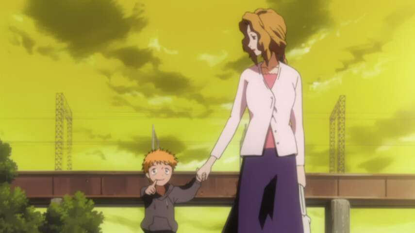 The Nightmare Which is Shown, Ichigo's Inside the Mirror