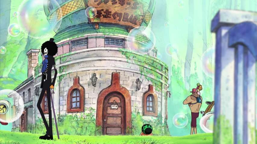 New Rivals Gather! The 11 Supernovas