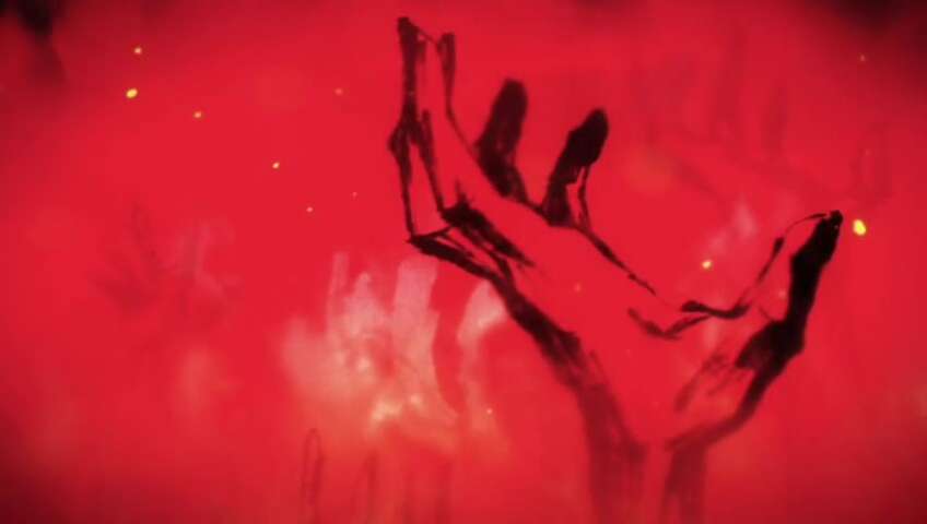 20 Years` Worth of Prayers! Take Back the Land of Wano